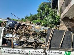 Best Demolition Debris Removal  in Bemiss, GA